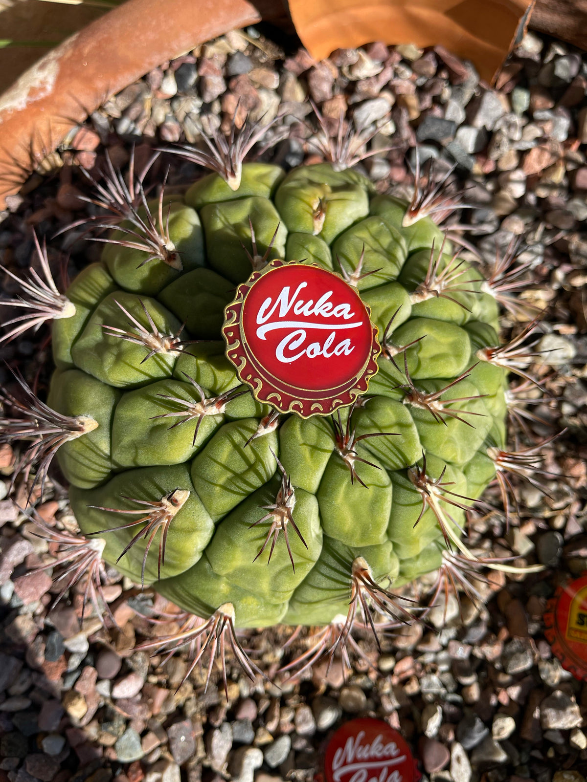 Bottle Cap Pins