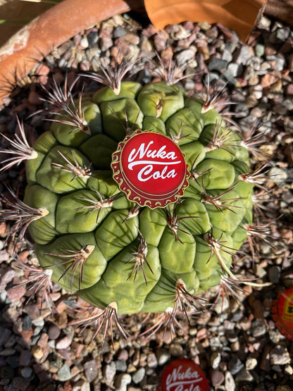 Bottle Cap Pins