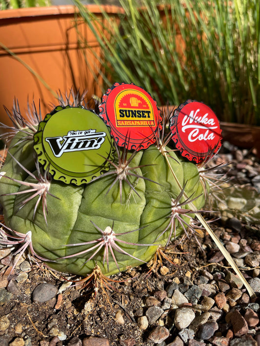 Bottle Cap Pins