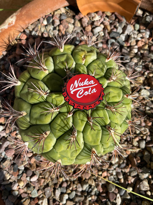 Bottle Cap Pins