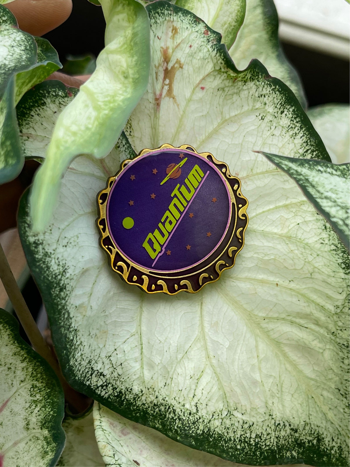 Bottle Cap Pins