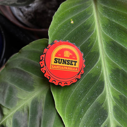 Bottle Cap Pins