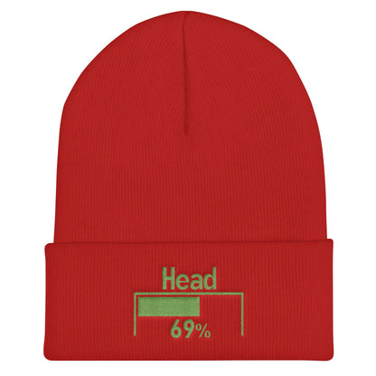 69% head damage Beanie